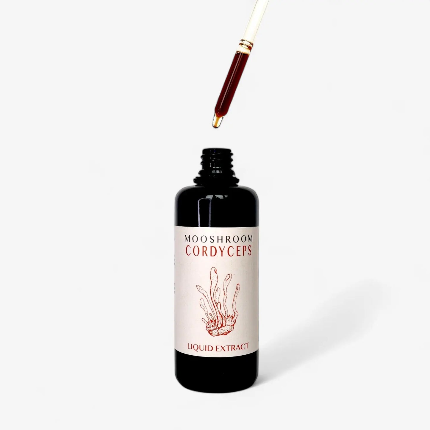 Performance Duo - Lion’s Mane Cordyceps Mooshroom