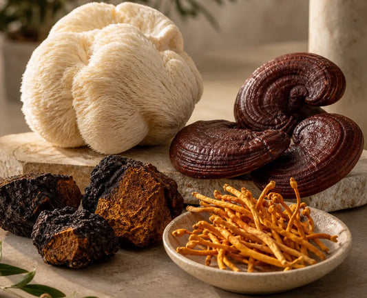 Functional Mushrooms: Din Guide till Longevity och Hälsofördelar 2026