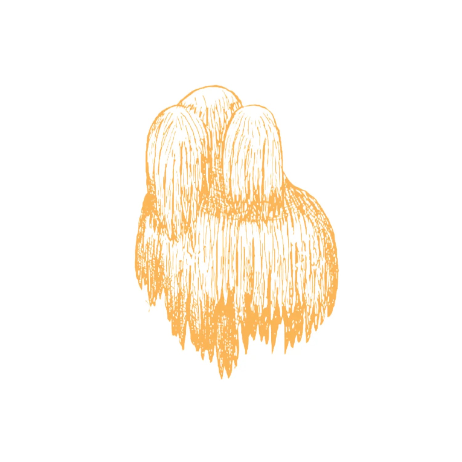 Lion's mane