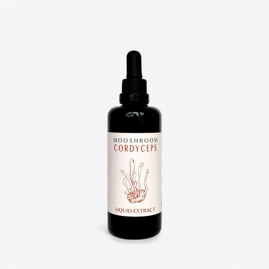 STAMINA Cordyceps flytande extrakt