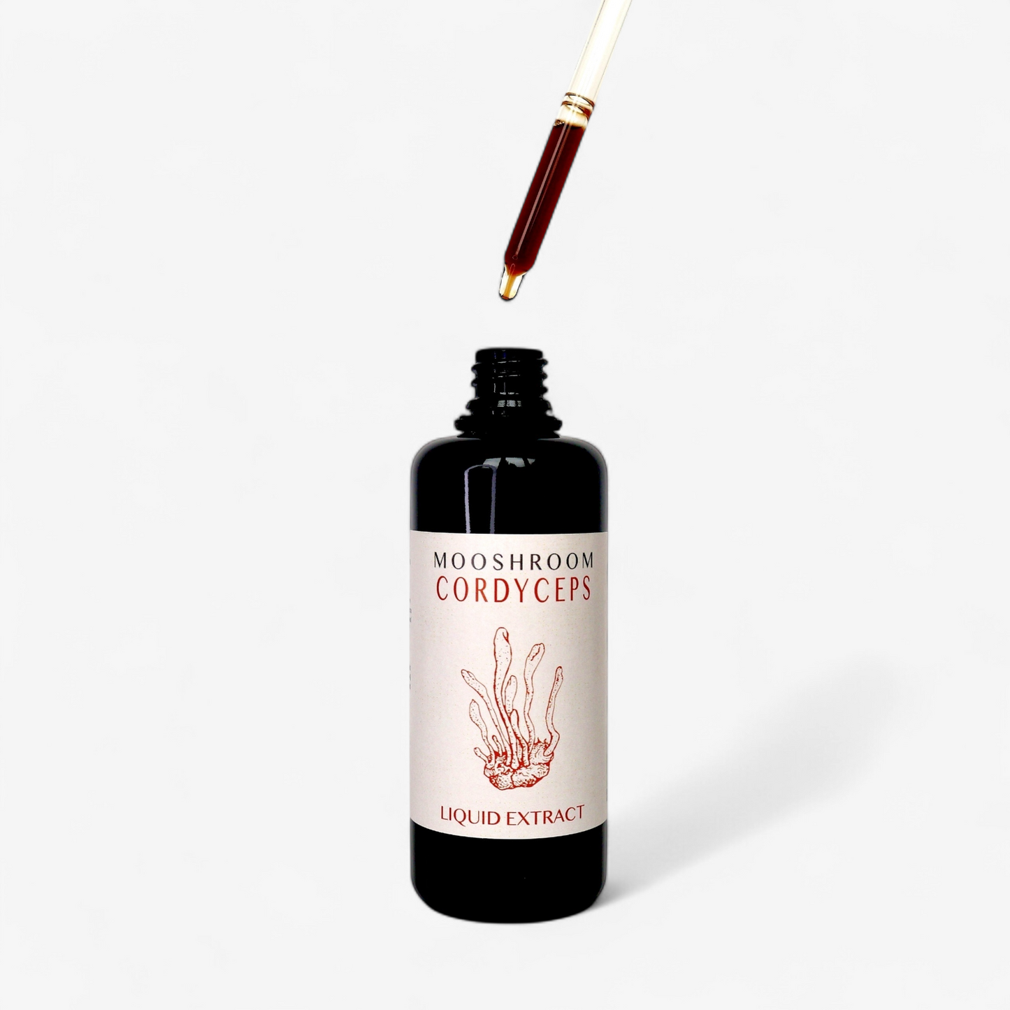 STAMINA Cordyceps flytande extrakt