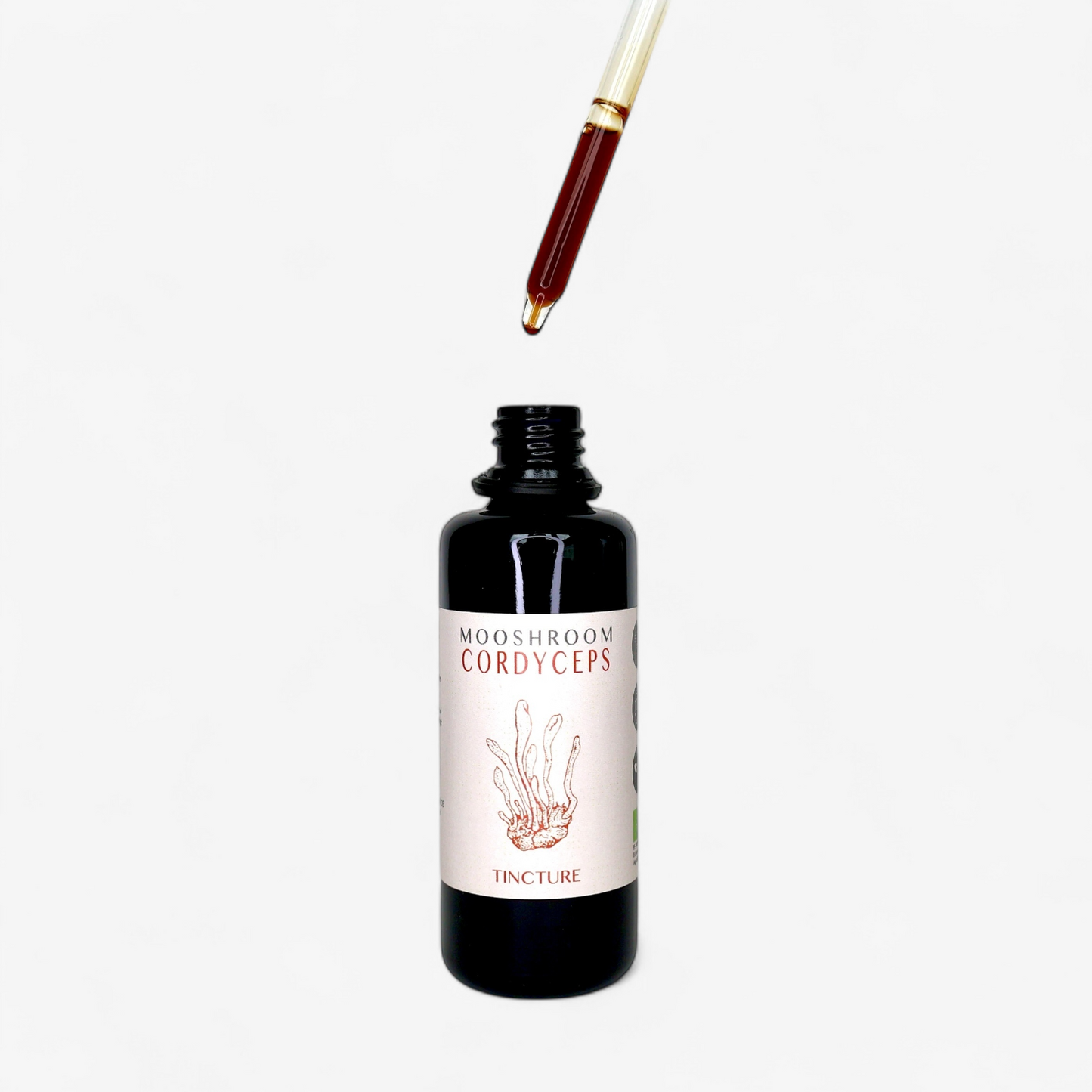 STAMINA Cordyceps tinktur